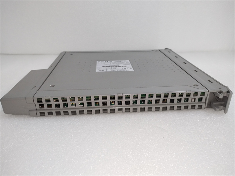 ICS Triplex T8451 Digital Output Module - Image 2